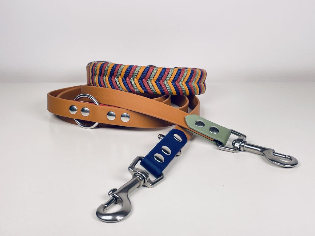 Collares para perros bonitos: 6 ideas originales que combinan diseño y resistencia