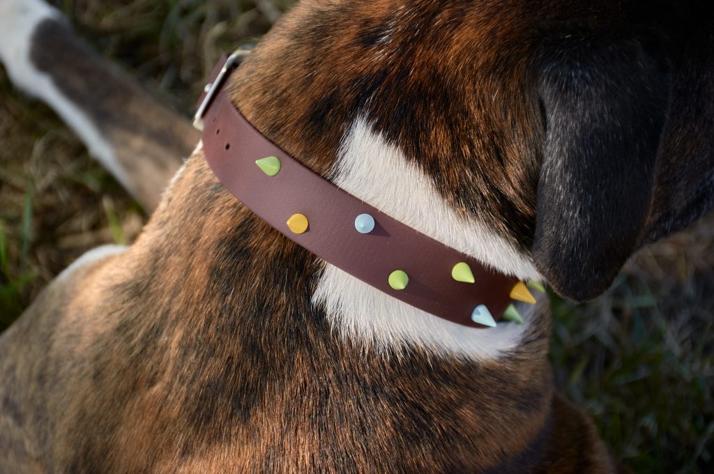 ¿Qué es el BioThane®? El material revolucionario para collares de perro