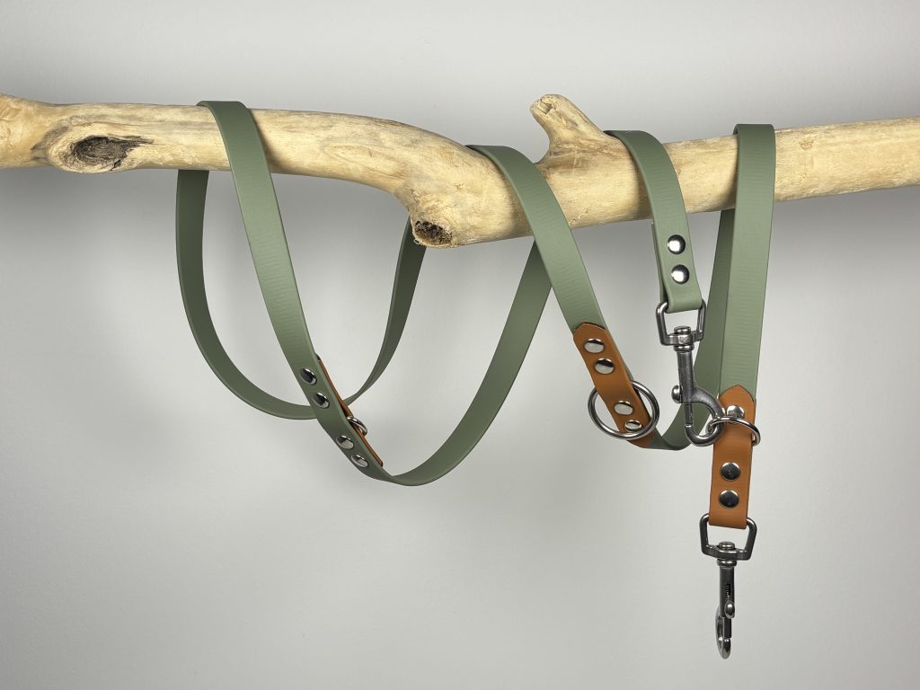 Correa multiposición