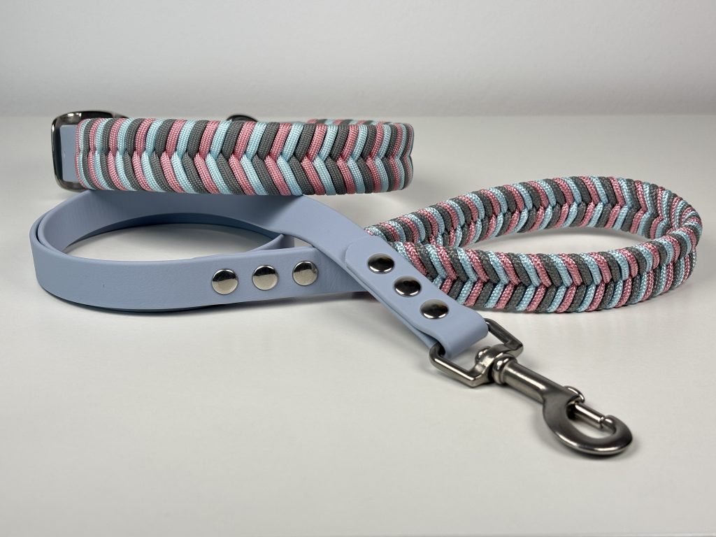 Pack collar + correa