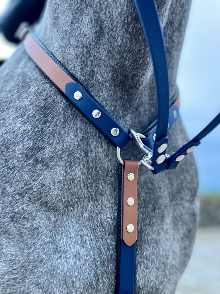 Biothane vs cuero: ¿Cuál es mejor para el equipo de tu caballo? Biothane vs cuero: ¿Cuál es mejor para el equipo de tu caballo?