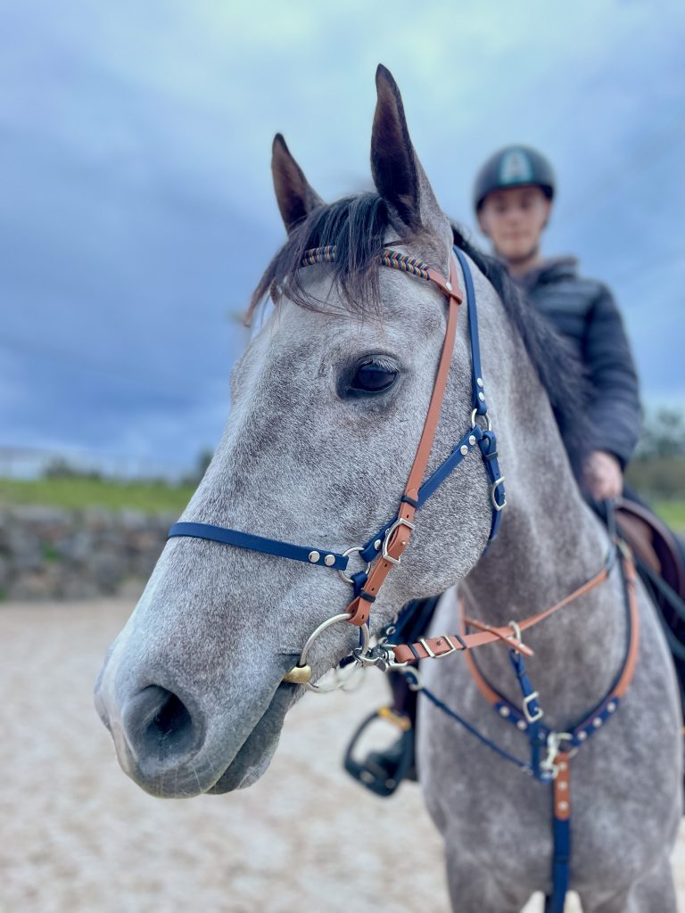 Biothane vs cuero: ¿Cuál es mejor para el equipo de tu caballo? Biothane vs cuero: ¿Cuál es mejor para el equipo de tu caballo?