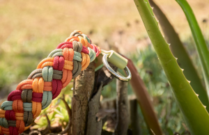 Blog Guía para elegir el mejor collar personalizado para perro, collares hechos a mano en España con Biothane, paracord y acero inoxidable de Garylon.