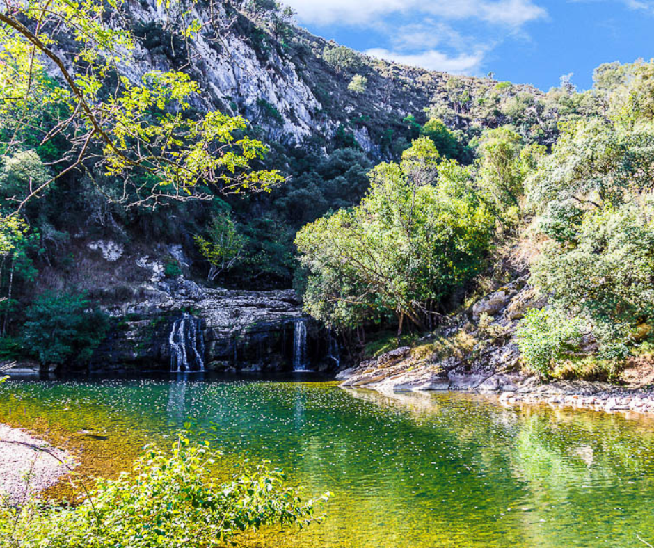 Cantabria con perro: guía pet-friendly para viajar y descubrir lugares únicos