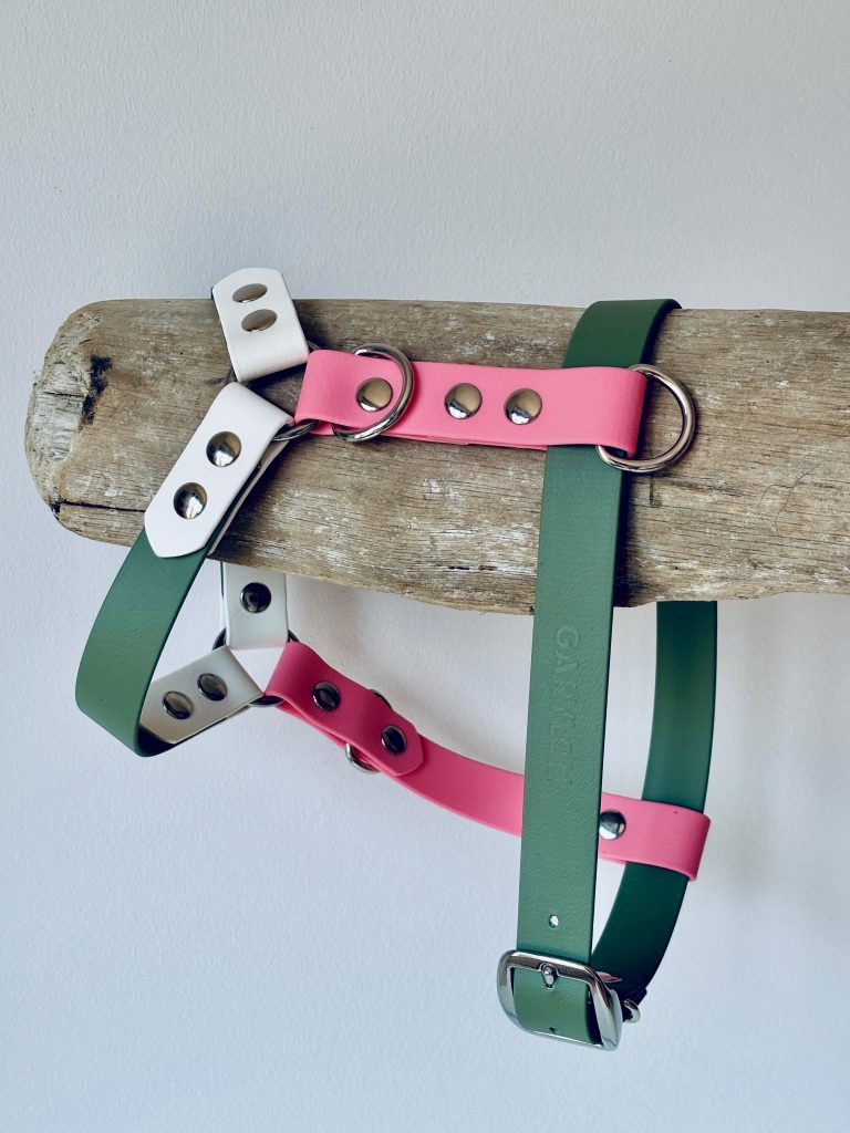 El Caniche Toy: ¿arnés o collar?