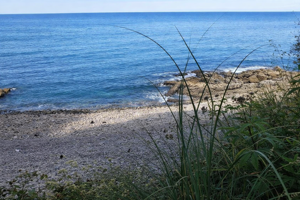 Playas para perros en Cantabria: guía actualizada 2026