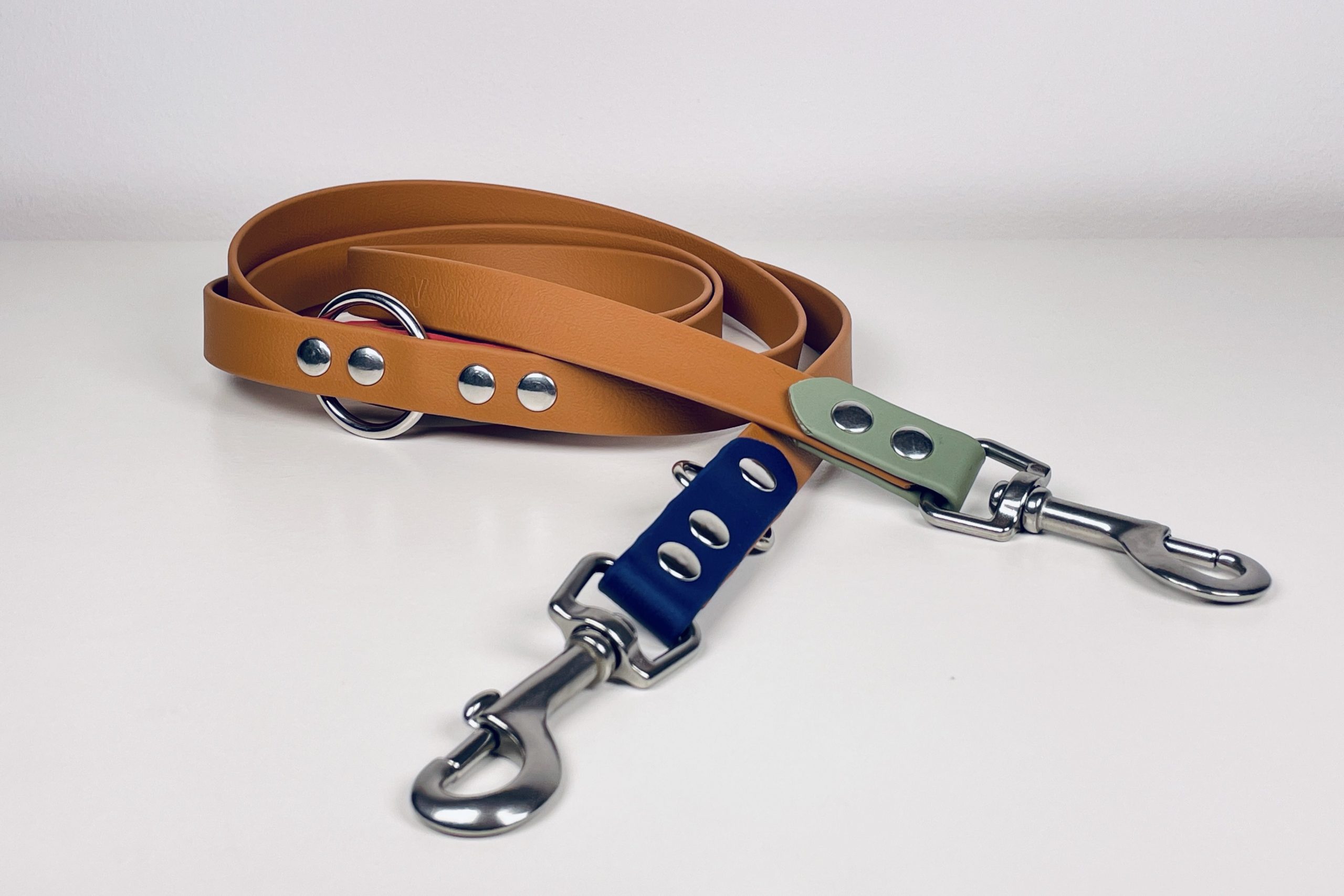 Correa multiposición para perro: qué es, posiciones y cómo elegir la tuya