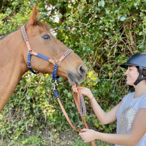 Cabezada de cuadra trenzada marino y marrón — accesorio para caballo hecho a mano | Garylon