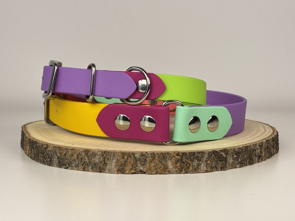Collares para perros bonitos: 6 ideas originales que combinan diseño y resistencia