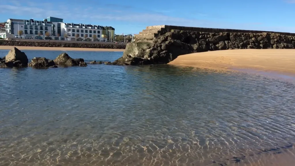 Playas para perros en Cantabria: guía actualizada 2026