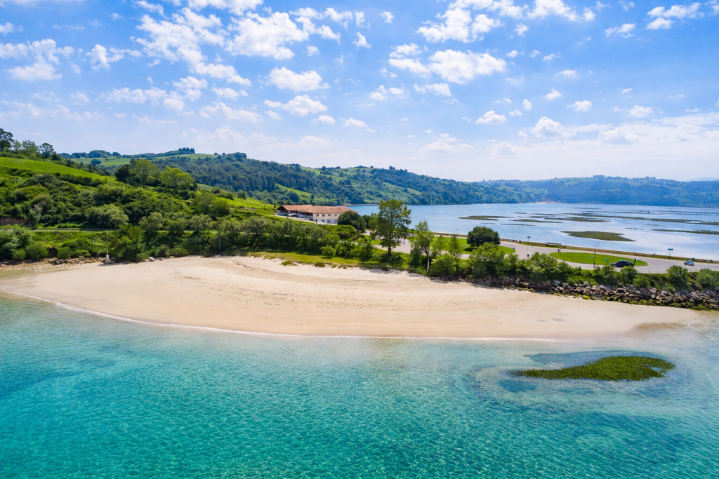 Playas para perros en Cantabria: guía actualizada 2026