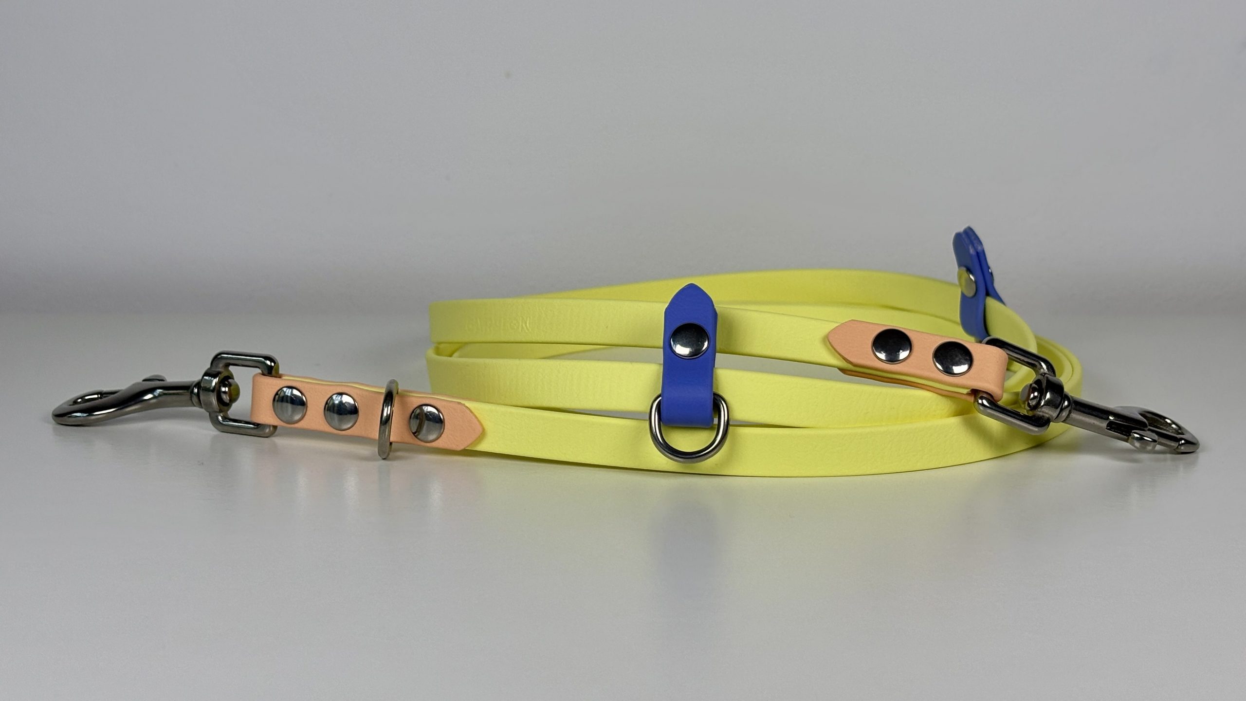 Correa manos libres para perro: cuál elegir según tu estilo de paseo