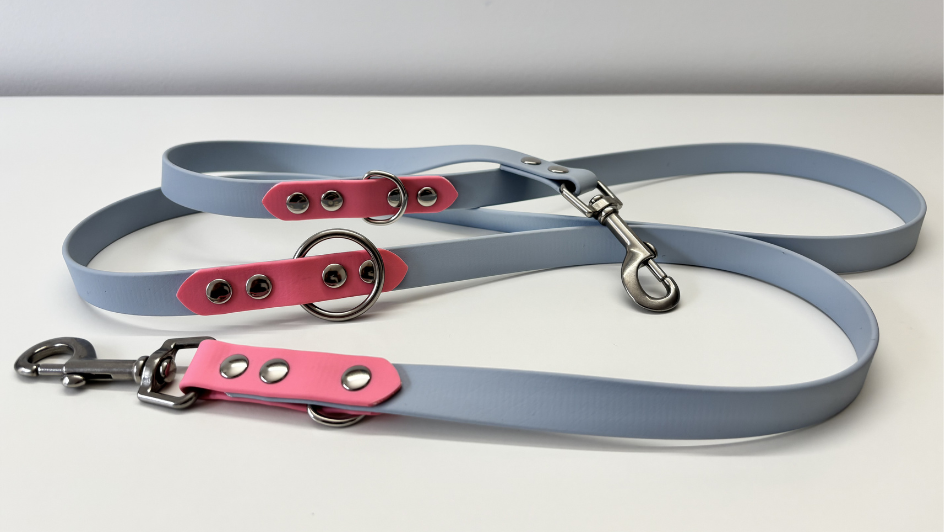 Correa manos libres para perro: cuál elegir según tu estilo de paseo