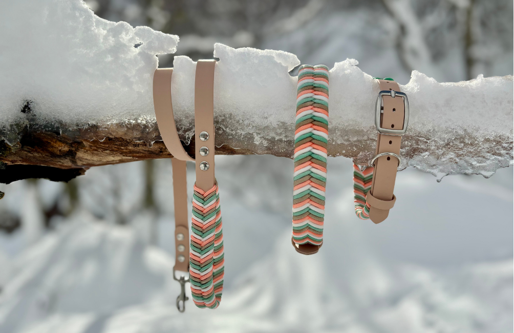 Perros y nieve: cómo disfrutar de la montaña en invierno