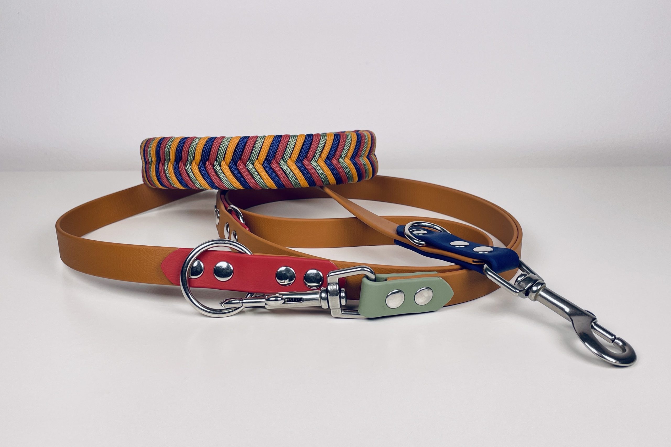 Correa multiposición para perro: qué es, posiciones y cómo elegir la tuya