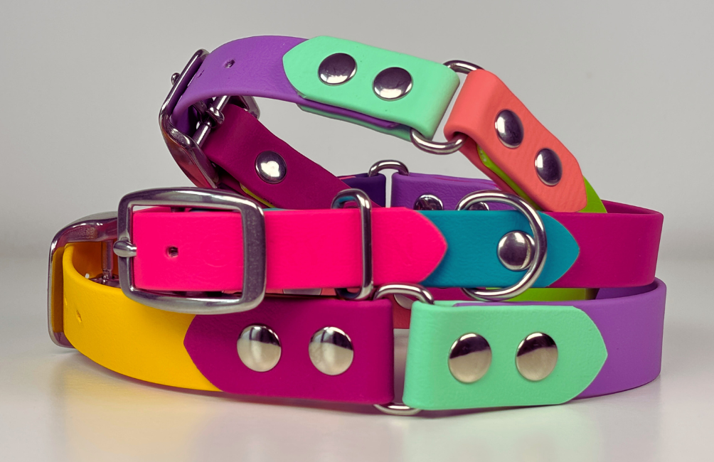 Collar para Golden Retriever: agua, paseo y resistencia