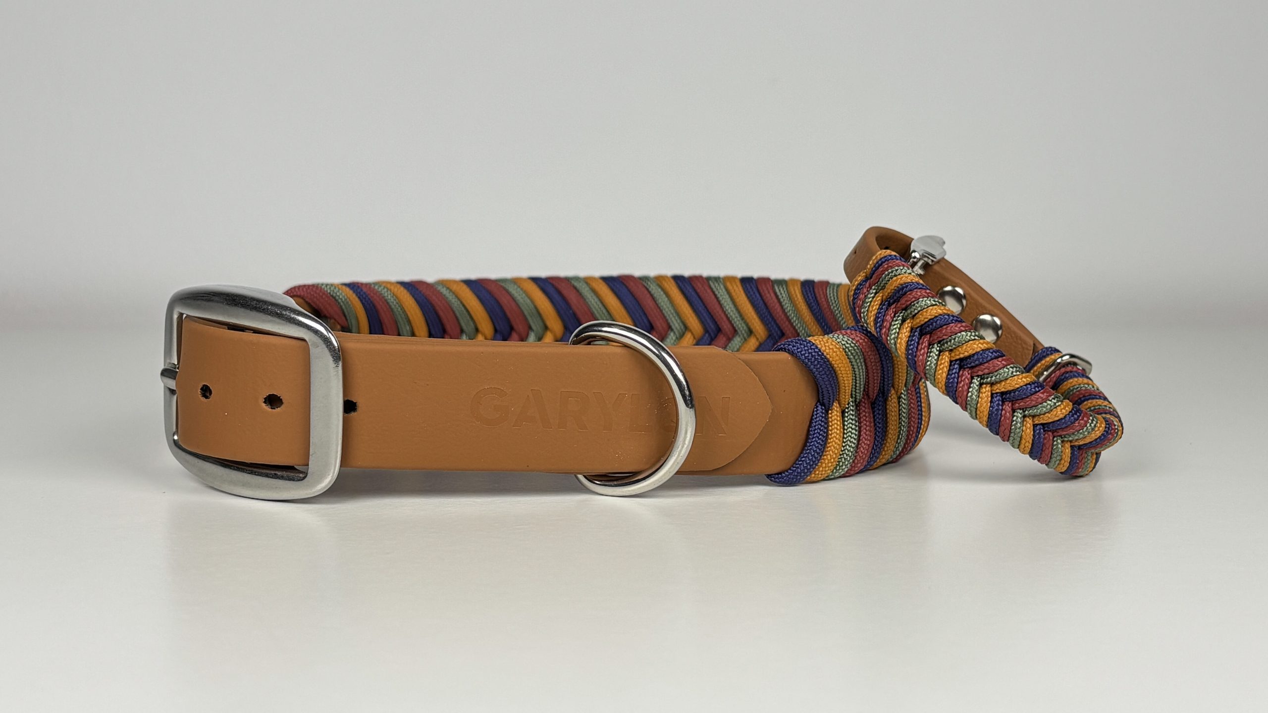 Collar para Teckel: qué necesita esta raza y cómo elegir bien Collar para Teckel: qué necesita esta raza y cómo elegir bien
