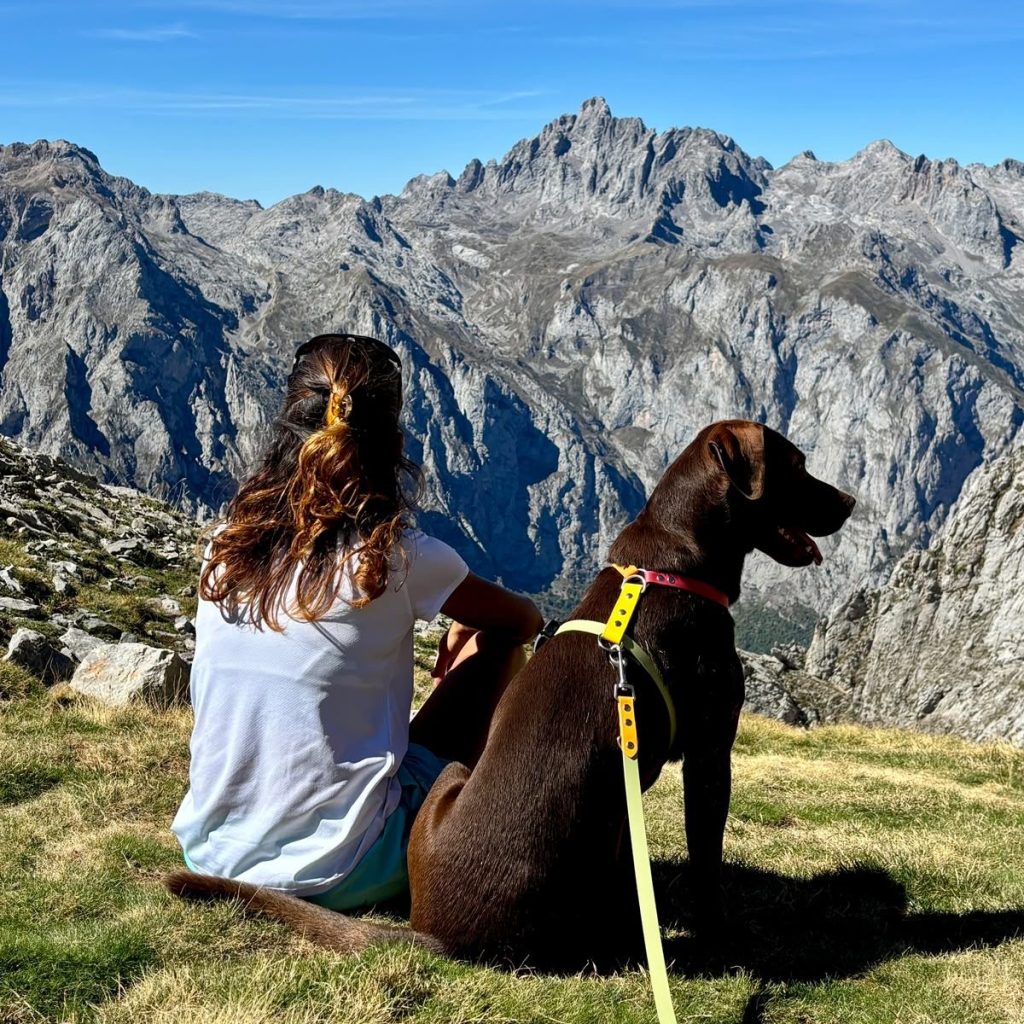 Senderismo con perro en Picos de Europa: rutas, normativa y consejos Senderismo con perro en Picos de Europa: rutas, normativa y consejos